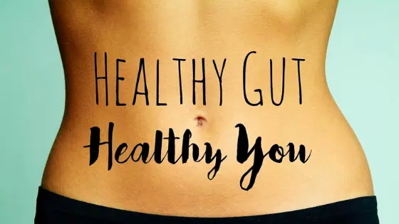 Healthy Gut Healthy You