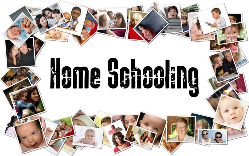 The Best Home School Program on the Planet with lots of pictures.